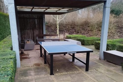 pingo-lite-lifestyle-1